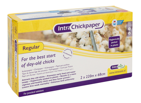 Intracare, Regular Chick Paper